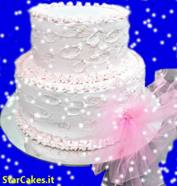 Torta su 2 Piani